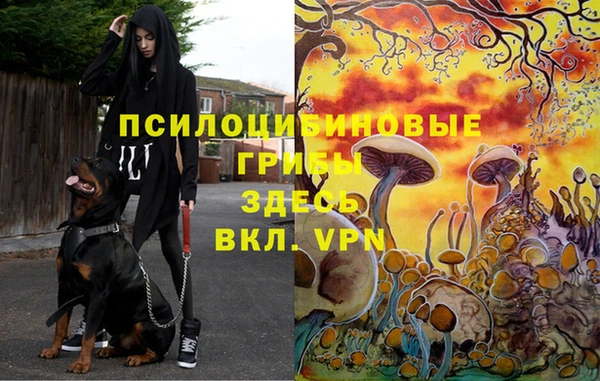 молекула духа Баксан
