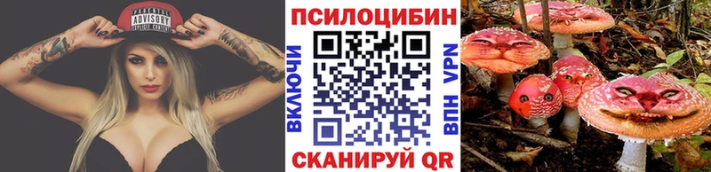 Псилоцибиновые грибы прущие грибы  Пересвет 